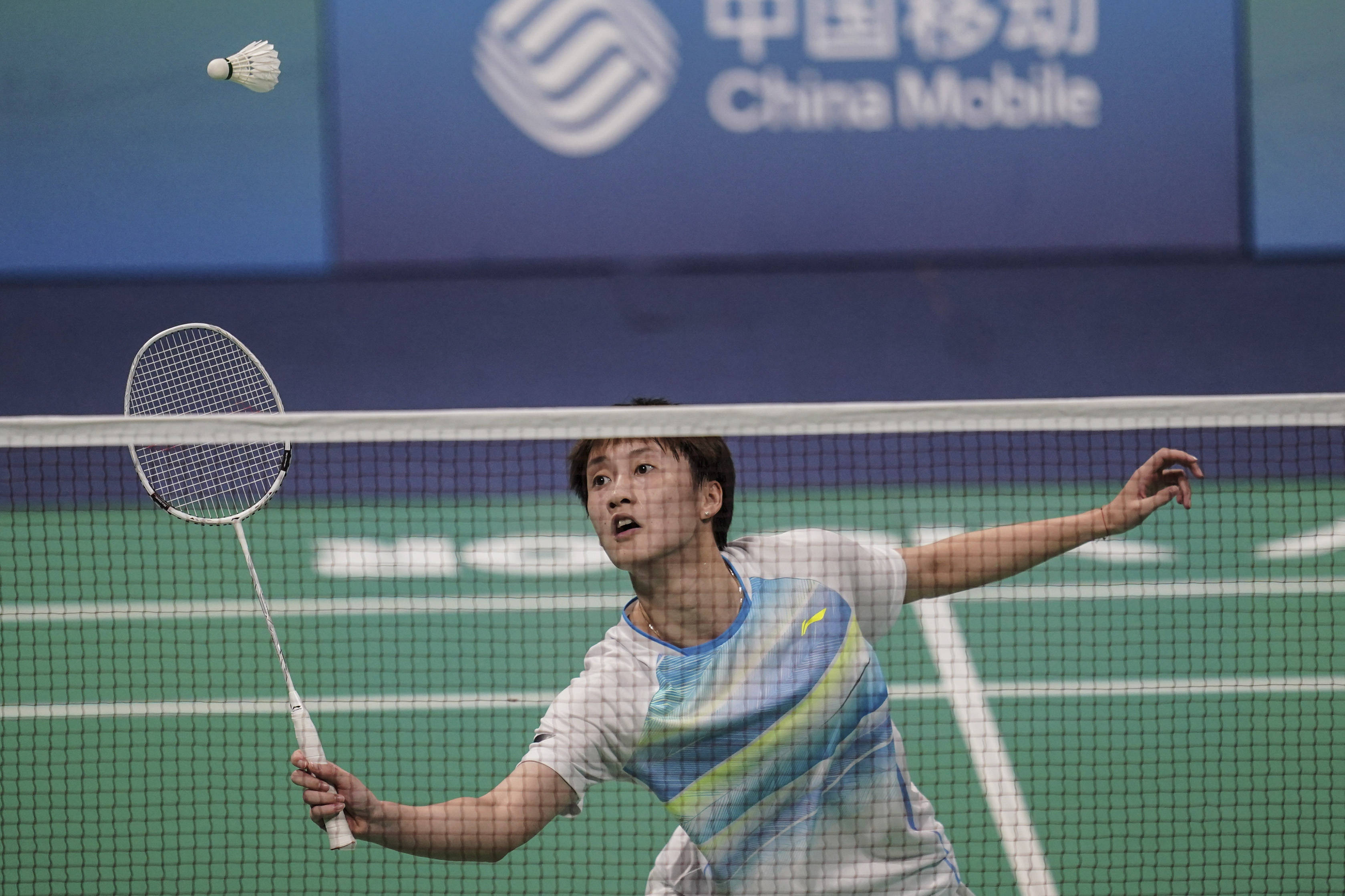 球迷们或许 球迷们或许